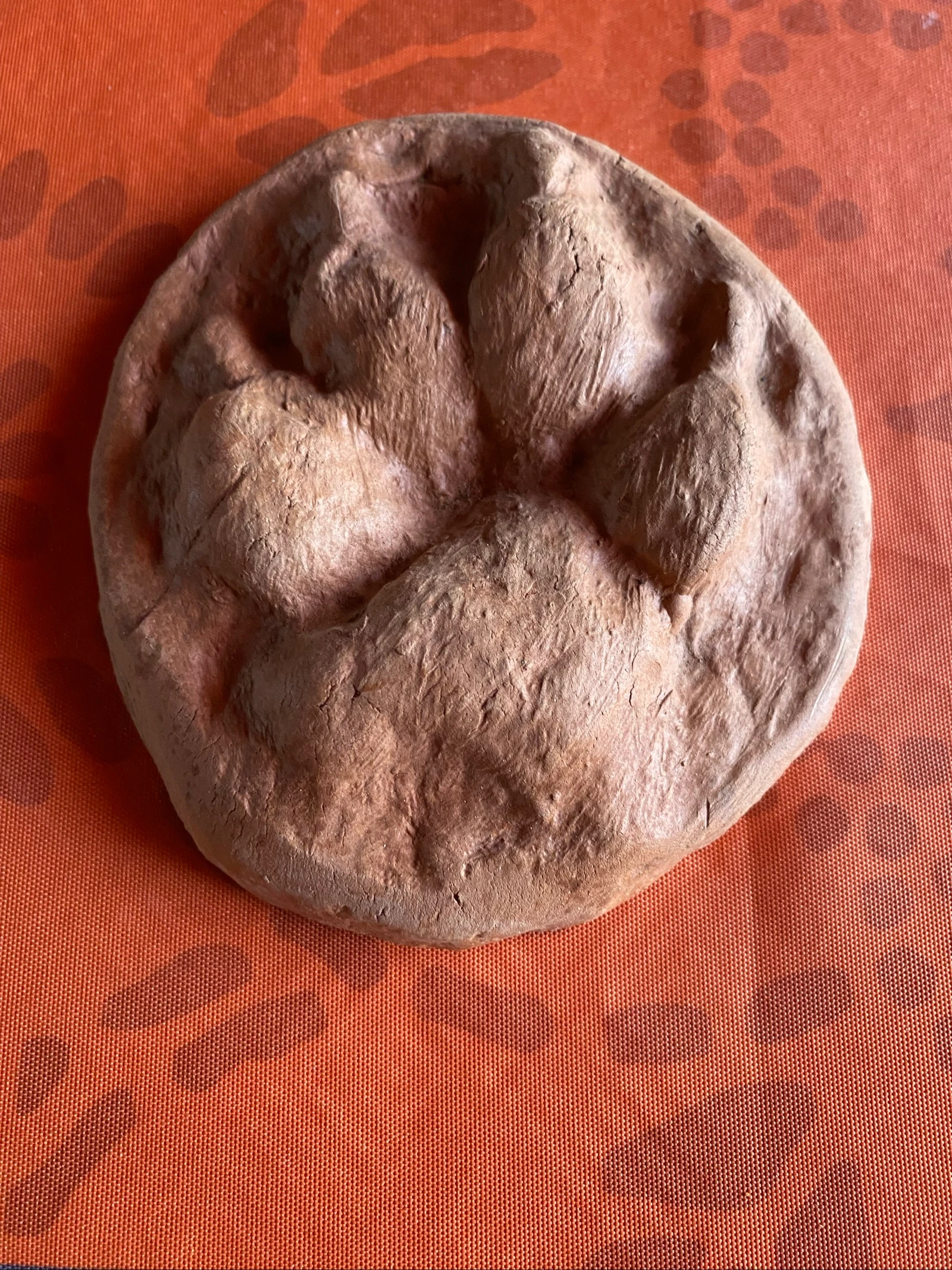 Décoration patte de loup